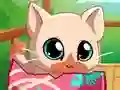 Igra My Pocket Pets Kitty Cat online