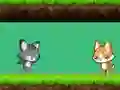 Igra Cat vs Dog online