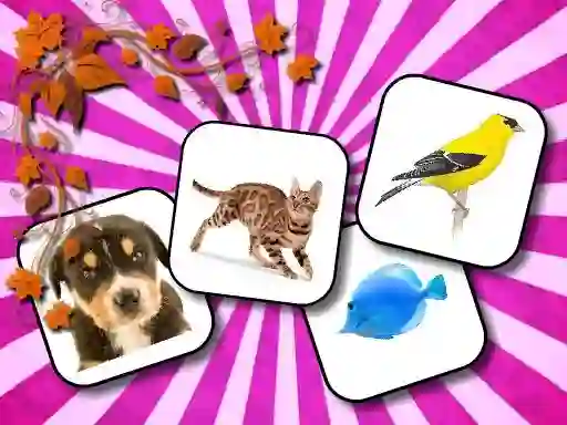 Igra Animals Memory online