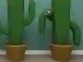 Igra Cactus Cube online