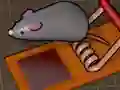 Igra Feed the Mouse online