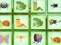 Igra Find The Insect online
