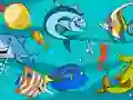 Igra Fish Differences online