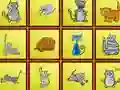 Igra Cats Findiff online