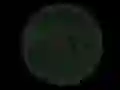Igra Stickshot 2 online