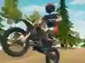 Igra Dirt Bike Enduro Racing online