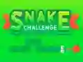 Igra Snake Challenge online