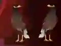 Igra Peikin Duck Escape online