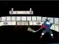 Igra Capitaine Cage Hockey online