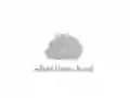 Igra Idleslime. Text Slime Evolution online