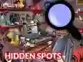 Igra Hidden Spots In The Room online