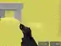Igra Pixel Combat Multiplayer online