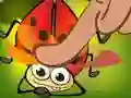 Igra Insect Cush online