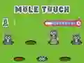 Igra Pole Touch online