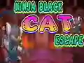 Igra Ninja Black Cat Escape online