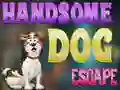 Igra Handsome Dog Escape online