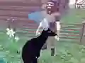 Igra Deer Simulator 3D online