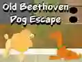 Igra Old Beethoven Dog Escape online