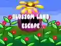 Igra Blossom Land Escape online