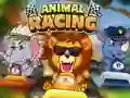Igra Animal Racing online