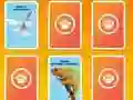 Igra National Geographic Kids Matching online
