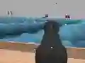 Igra Ships 3D online