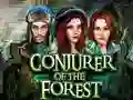 Igra Conjurer Of The Forest online