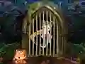 Igra Cute Pirate Girl Escape online