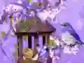 Igra Wonderful Humming Bird Land Escape online