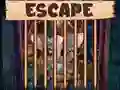 Igra Beautiful Little Bat Escape online