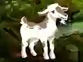 Igra Searching Goat Child online