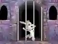 Igra Victory Rabbit Escape online