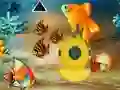 Igra Save The Mother Fish online