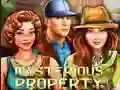 Igra Mysterious Property online