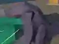 Igra Hakaiju online
