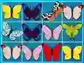 Igra King Of Mahjong online
