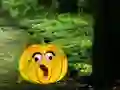 Igra Help The Hungry Monkey online