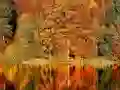 Igra Sliding Puzzle online