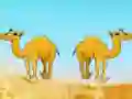 Igra Desert Gold Rush The Great Treasure Escape online