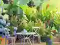 Igra Find The Cute Pandas online