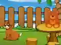 Igra Funny Iguana Escape online