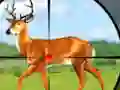 Igra Wild Hunt Hunting Games 3D online