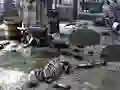 Igra Friends Rescue From Skeleton online
