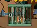 Igra Staffordshire Bull Terrier Escape online