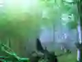 Igra Trapped Honeybee Escape online