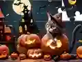 Igra Jigsaw Puzzle: Halloween Cat online