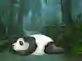 Igra Wakeup The Sleeping Panda online
