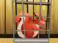 Igra Rescue The Red Squirrel From Cage online