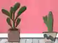 Igra Find Houseplant online