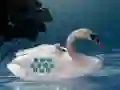 Igra Save The Swan Mother Child online